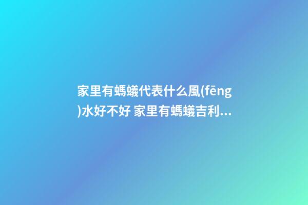 家里有螞蟻代表什么風(fēng)水好不好 家里有螞蟻吉利風(fēng)水解析